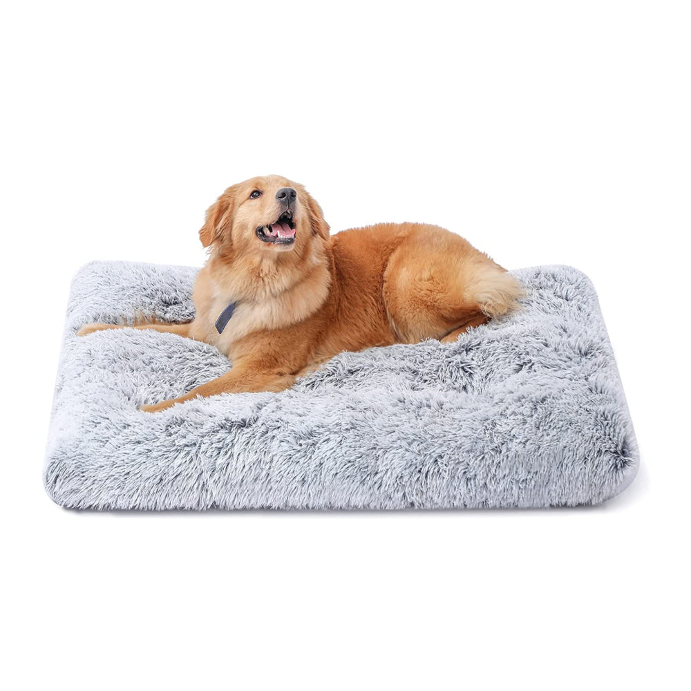 Plush and Cosy Dog Bed