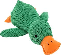 Calming Duck