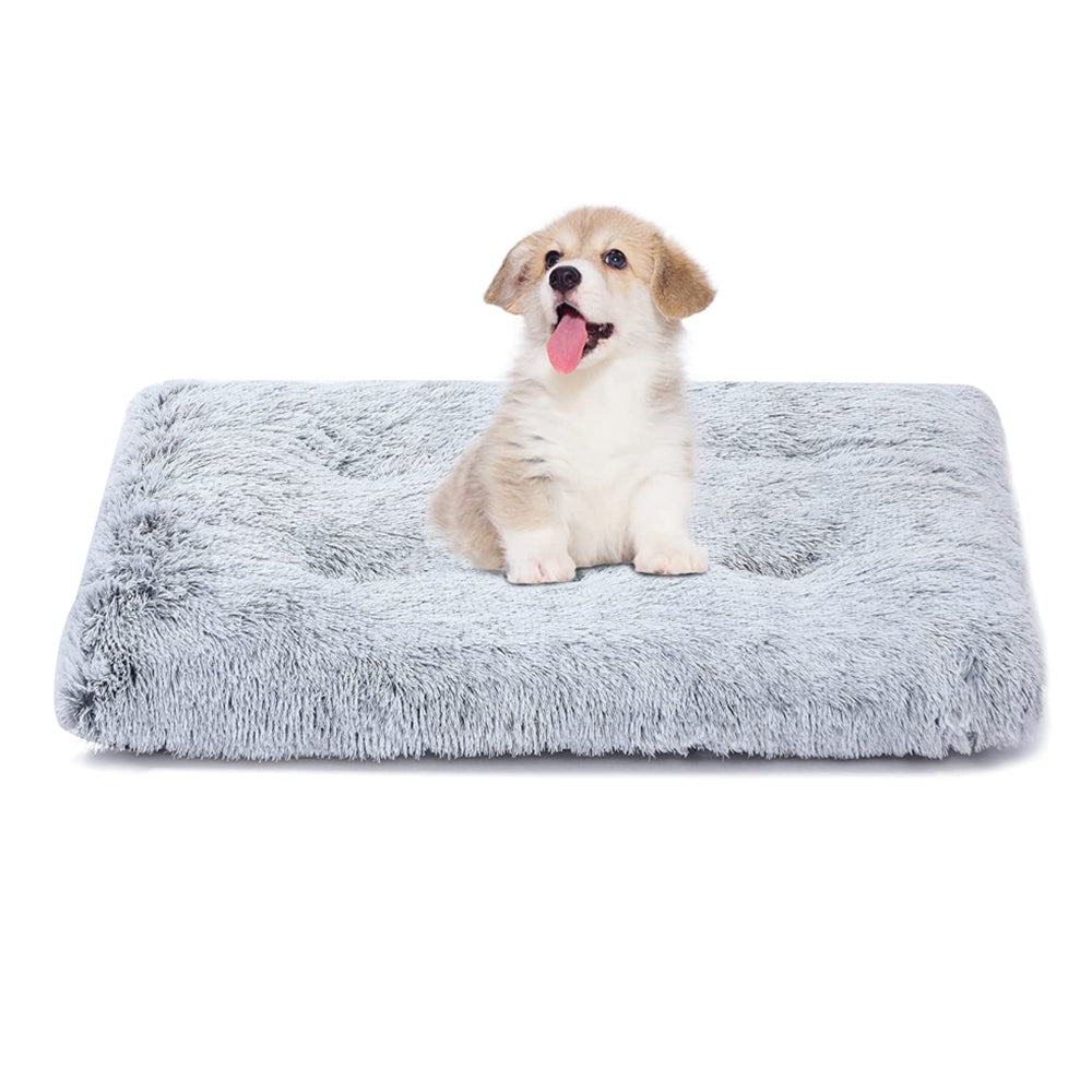 Plush and Cosy Dog Bed